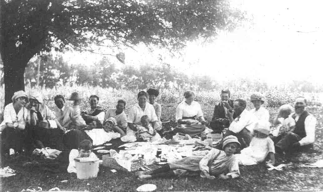Family picnic